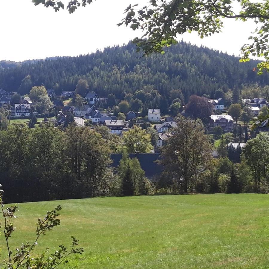 Haus Stefanie Elvire Lejlighed Altenberg Eksteriør billede