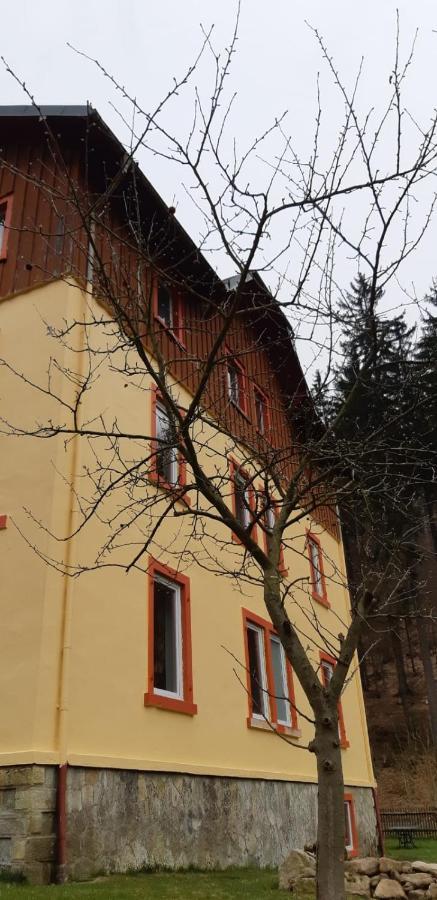 Haus Stefanie Elvire Lejlighed Altenberg Eksteriør billede