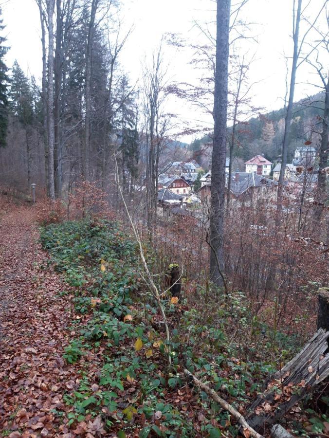 Haus Stefanie Elvire Lejlighed Altenberg Eksteriør billede