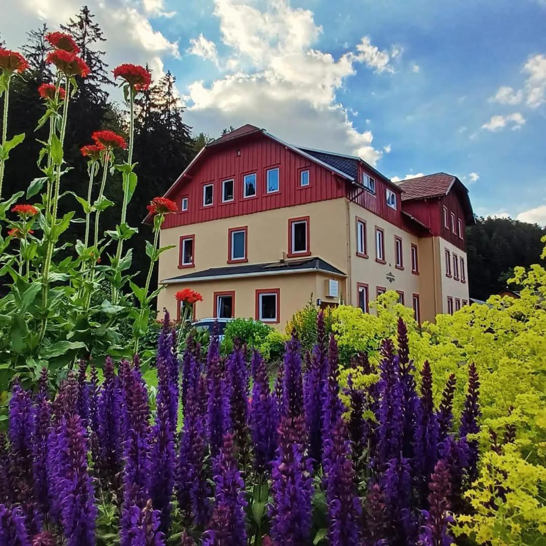 Haus Stefanie Elvire Lejlighed Altenberg Eksteriør billede